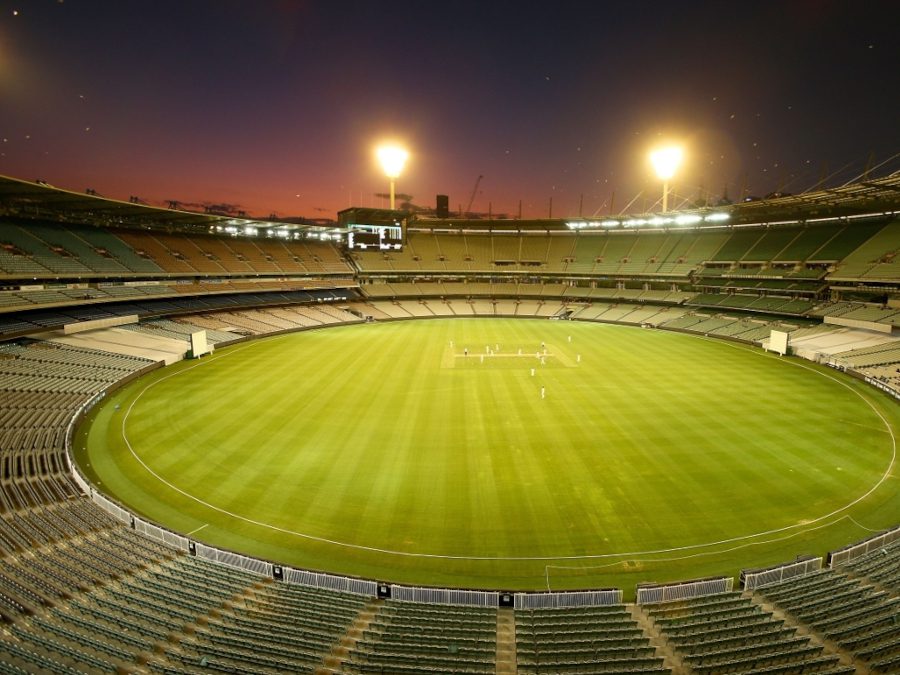 cricket-field